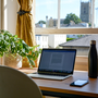 les meilleures plantes pour le bureau que vous devriez avoir