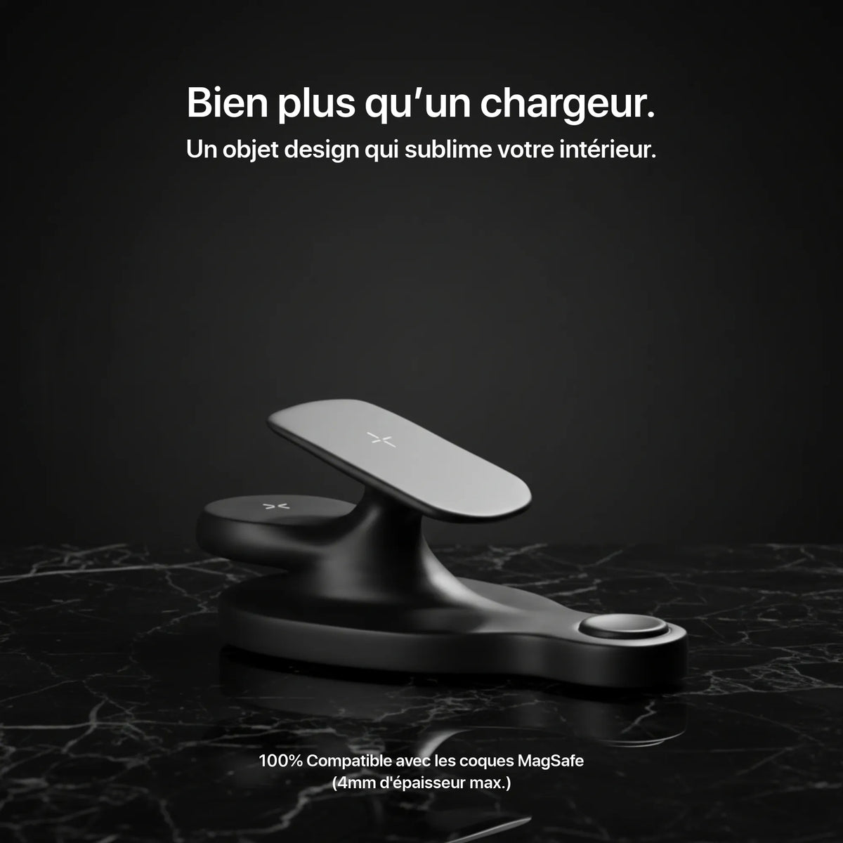 Le voyageur